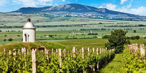 Apartm�n U Pl�?e S Terasou