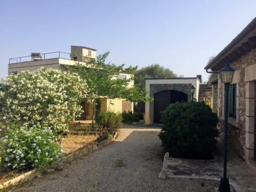 Finca Las Tortugas