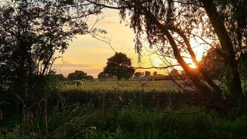 Rum Bridge Fisheries "carper's Cabin"