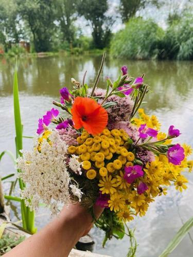 Rum Bridge Fisheries "carper's Cabin"