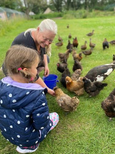 Rum Bridge Fisheries "carper's Cabin"