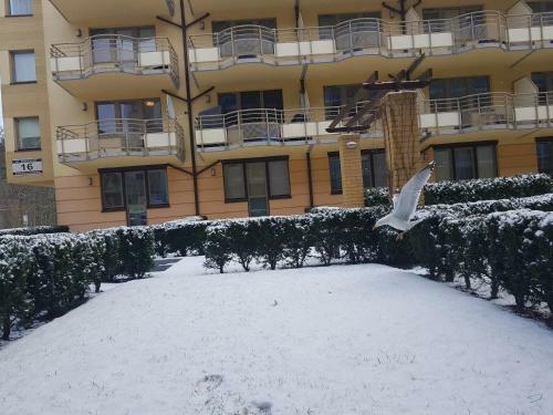 Apartamento ?winouj?cie Zdrojowa