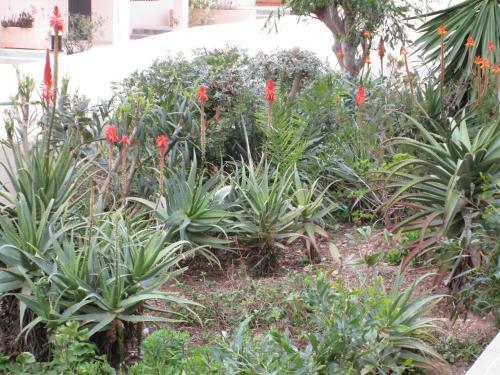 Apartamento En Es Pujols