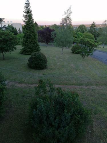 Apartamento Appartement Pres De Beauval Et Des Ch�teaux