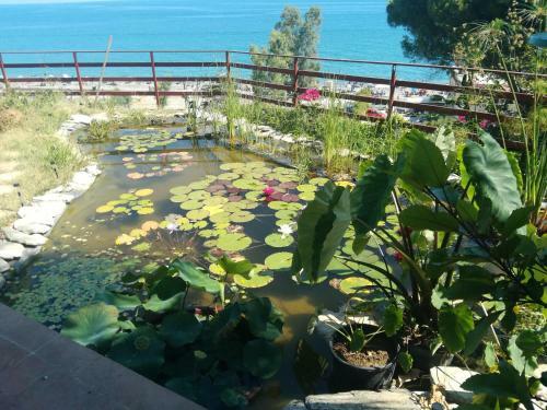 Villa The Pergola By The Sea