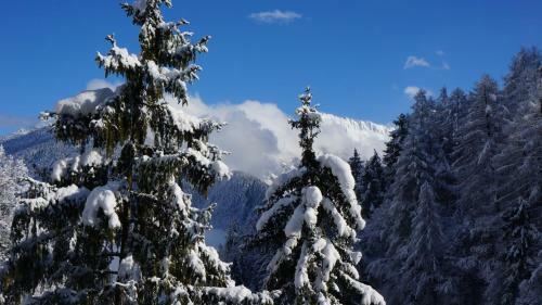 Apartamento Appartements Alpenblick