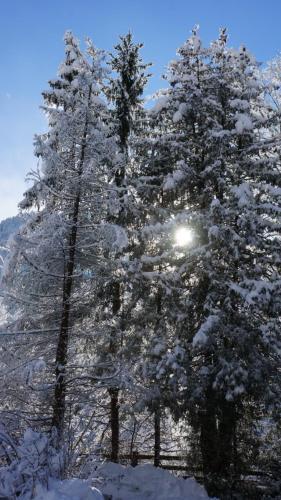 Apartamento Appartements Alpenblick