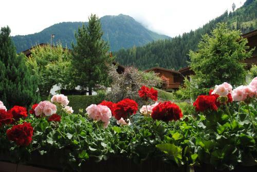 Bed & Breakfast G�stehaus Pirker