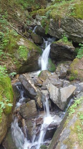 Hostal G�stehaus Eberl