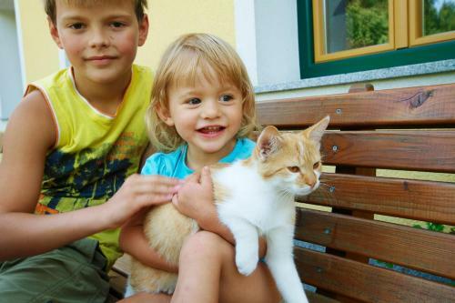 Hostal Familienbauernhof Salmanner