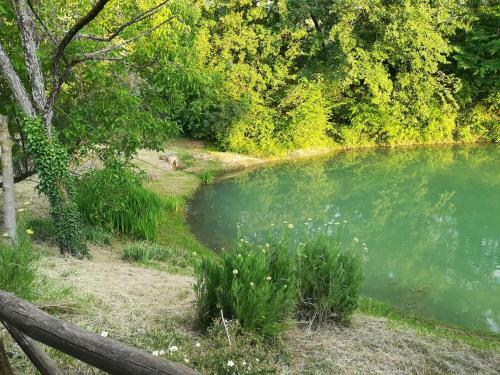 Agroturismo Casale Giuncheto