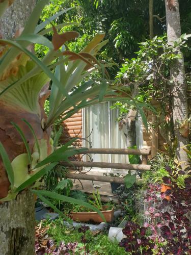 Apartamento Couleurs Des Iles 2