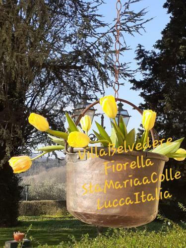 Villa Belvedere Fiorella