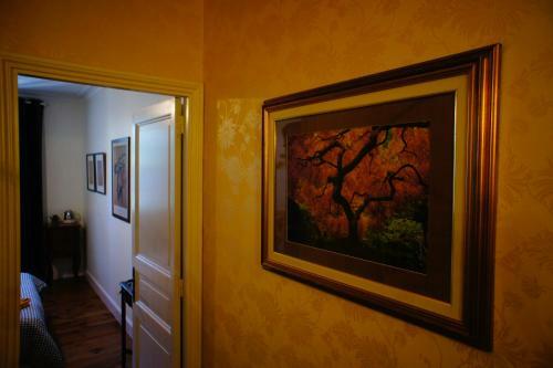 Bed & Breakfast La Maison Verte Albi