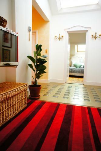 Bed & Breakfast La Maison Verte Albi