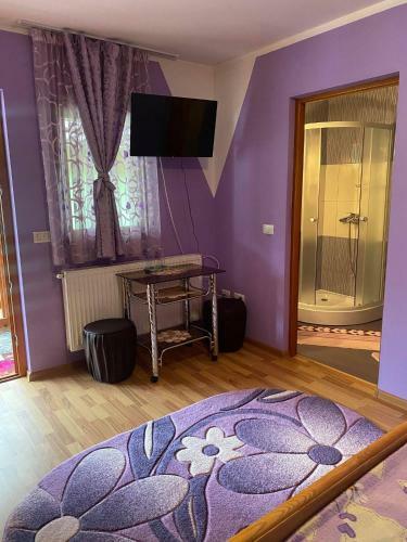 Hostal Pensiunea Ioana Mariana