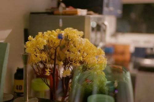Apartamento Frangipani Penthouse