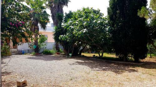 Bouganville