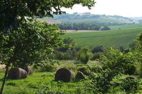 Agroturismo Agriturismo La Nocicchia