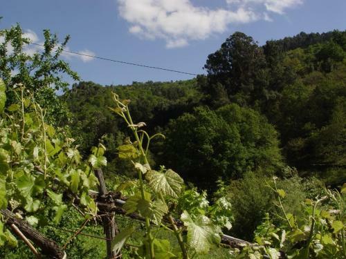 Casa En Vi�oas (ribeira Sacra)