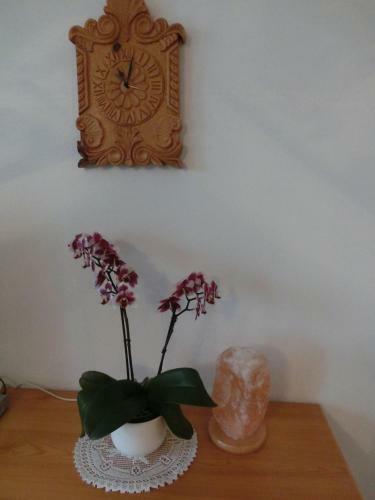 Apartamento Landhaus Klinkan