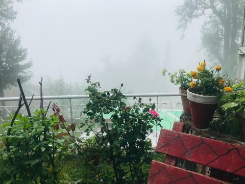 H.m.h Lodges & Hotel Resort