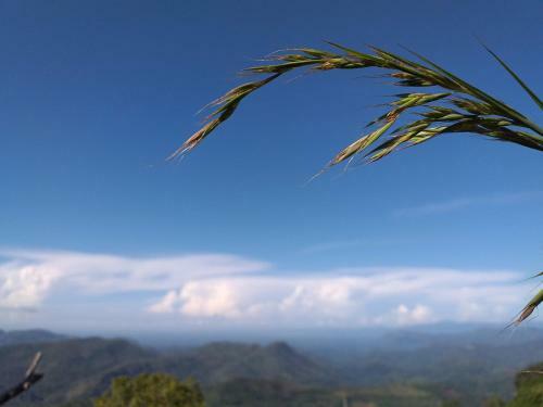 Posada Aurora Village Inn Haputale Srilanka-