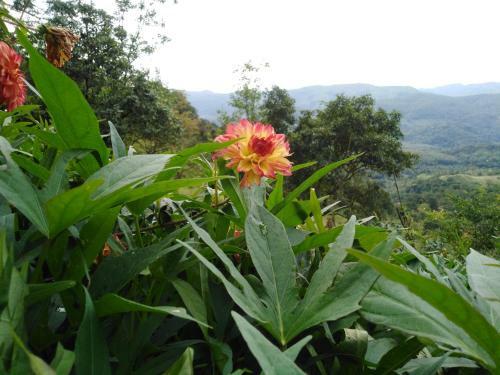 Posada Aurora Village Inn Haputale Srilanka-