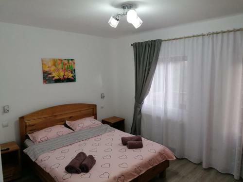 Hostal Pensiunea Diana