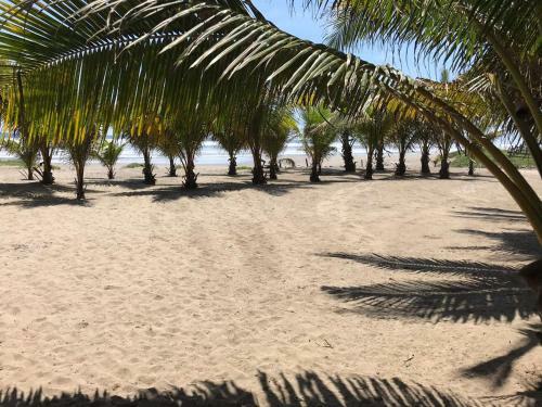 Apartamento Nichos Beach Villas