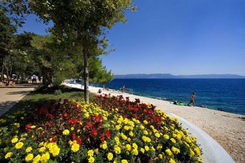 Apartamentos Queen Of Labin