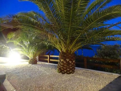 Seaside Villa Nikola With Pool For 12 Persons