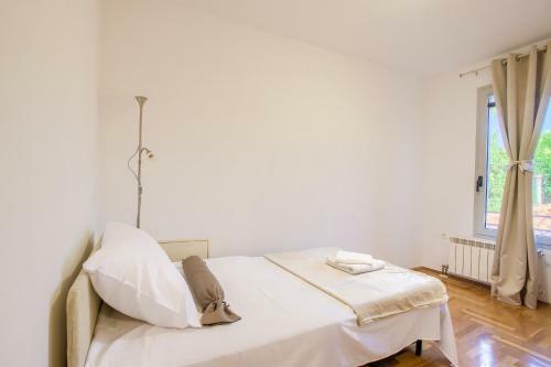 Apartment San Rocco Center
