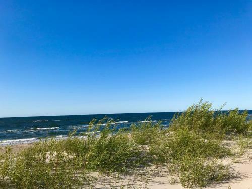 Apartamento Przy Sosnowym Lesie
