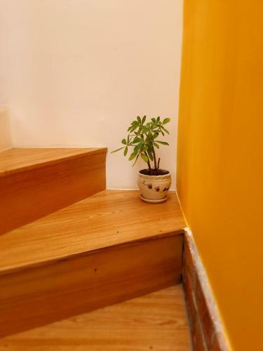 Apartamento Macle'o Homestay