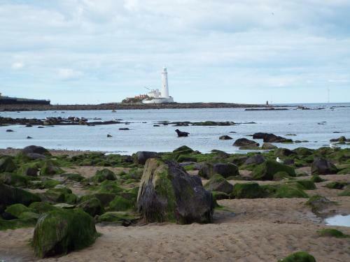 Boquhanran Caravan, Whitley Bay