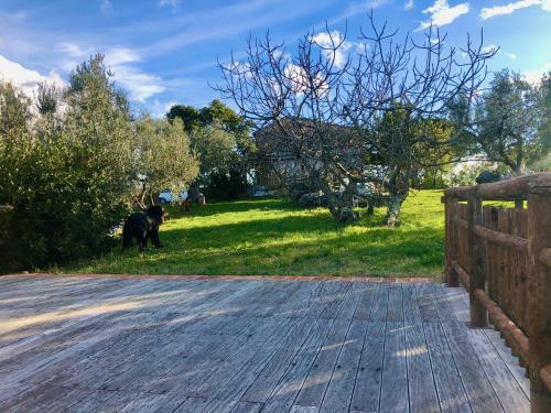 Giardino Di Pietre