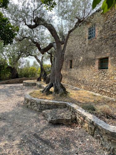 Giardino Di Pietre
