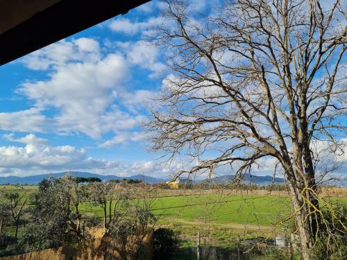 Bed & Breakfast Guesthouse L'acquarello