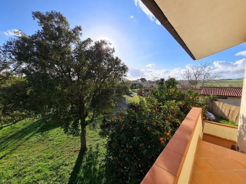 Bed & Breakfast Guesthouse L'acquarello