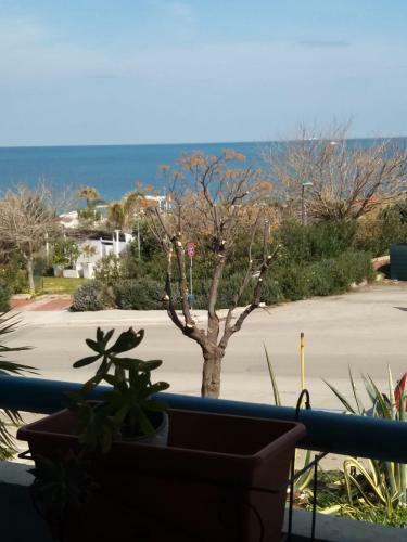 Apartamento Casa Colorata