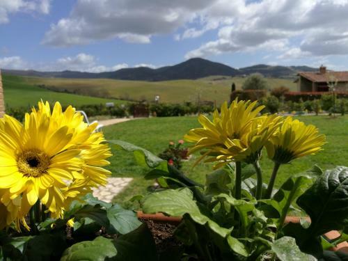 Agroturismo Podere San Luigi