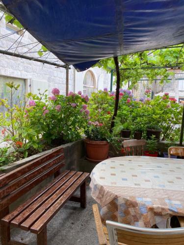 Apartment Jadran