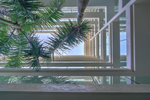 Apartamento Nayri Life & Spa 208