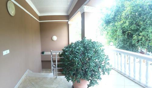 Apartamento Guest House Veli