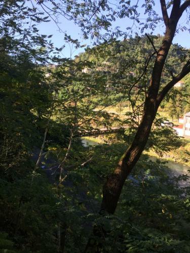Apartamento Guest House Veli