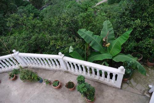 Apartamento Guest House Veli