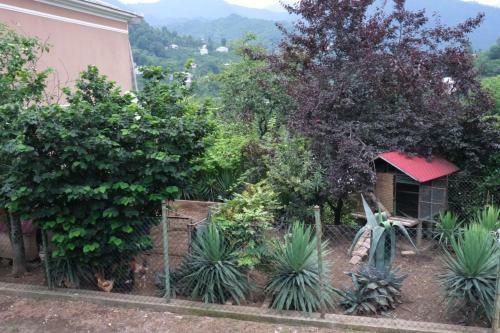 Apartamento Guest House Veli