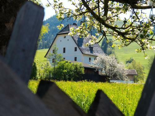 Apartamento Landhaus Theresia
