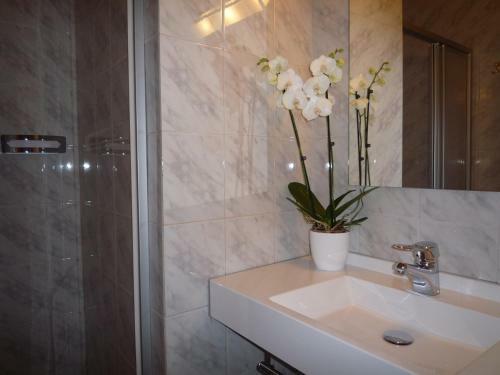Apartamento Appartement Bergkristall